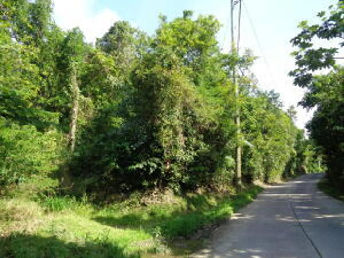 0.5 Acre Lot Homesite in Coral Bay — photo 1