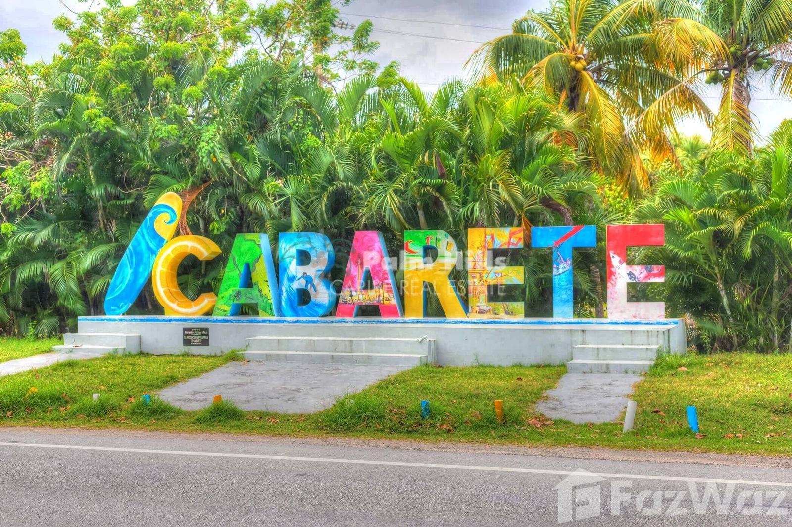 Commercial Property in Cabarete — photo 4