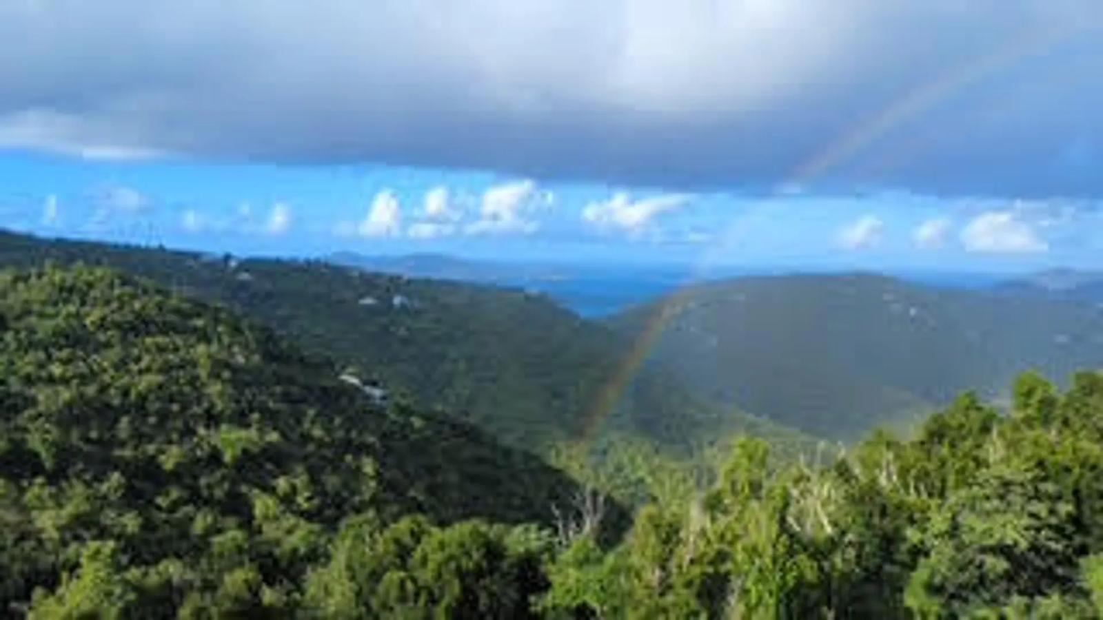 0.5 Acre Lot Homesite in Coral Bay — photo 5