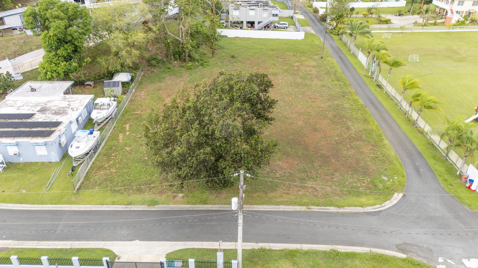 Big Land in Dorado available for sale! — photo 3