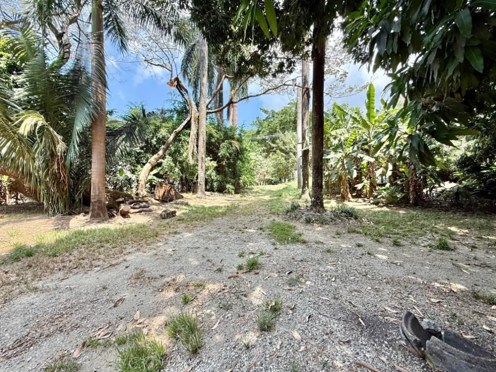 1.11 Acres of Mixed-Use Development Land for Sale — photo 4
