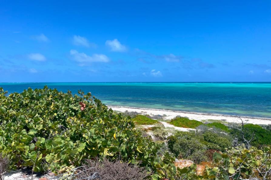 Cockburn Town Oceanfront 1.91 Acre Lot — photo 2