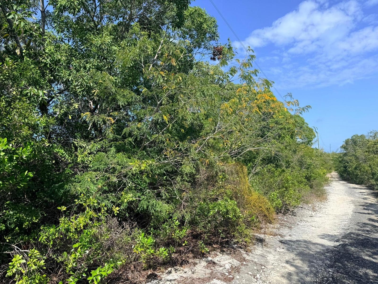 LOT 7693M BAHAMA SOUND 11 — photo 4