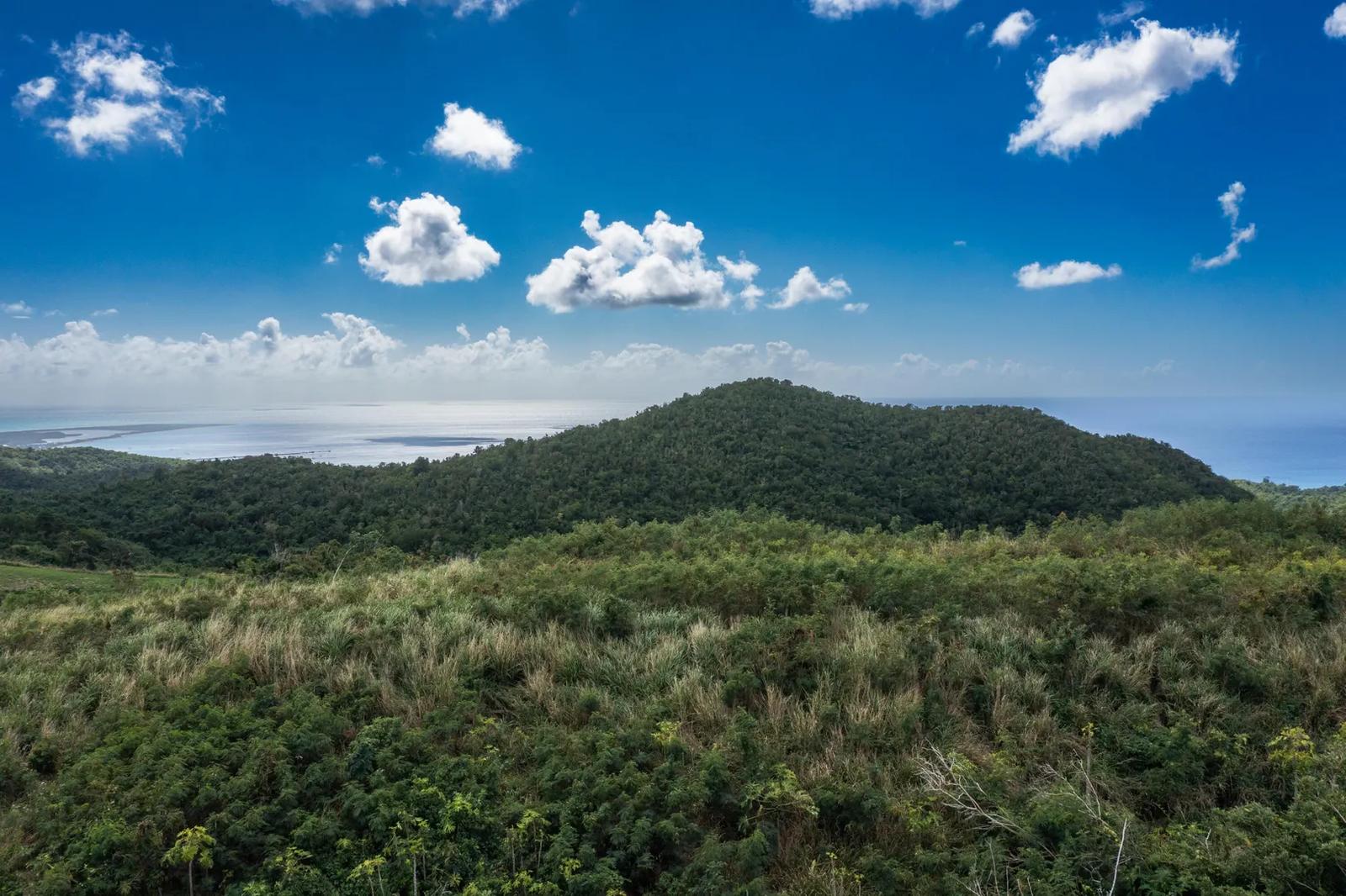 7.27 Acre Lot — photo 4