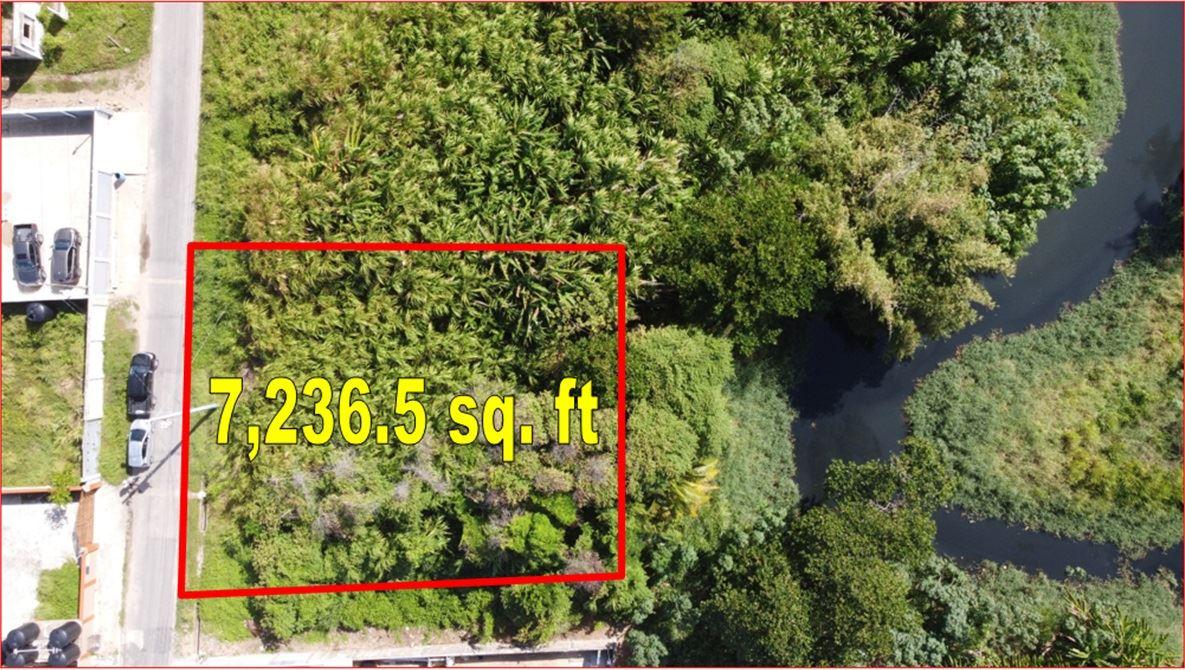 Mayaro Beach View Plot For Sale — photo 2