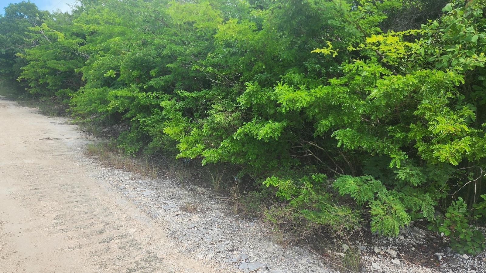 LOT 8287 HARTSWELL — photo 3