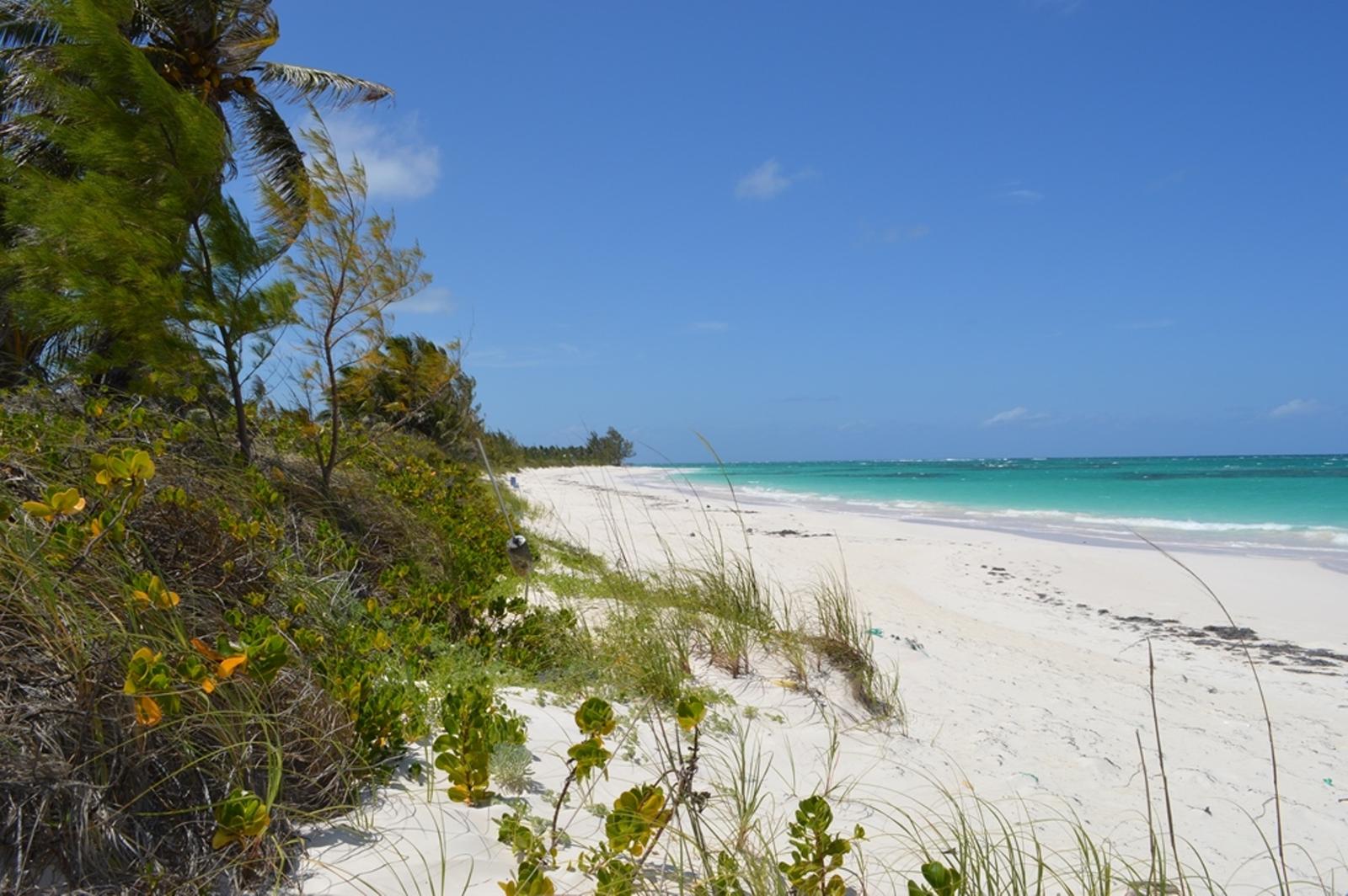 Beachfront Lot in Greenwood Estates, South Cat Island — photo 2