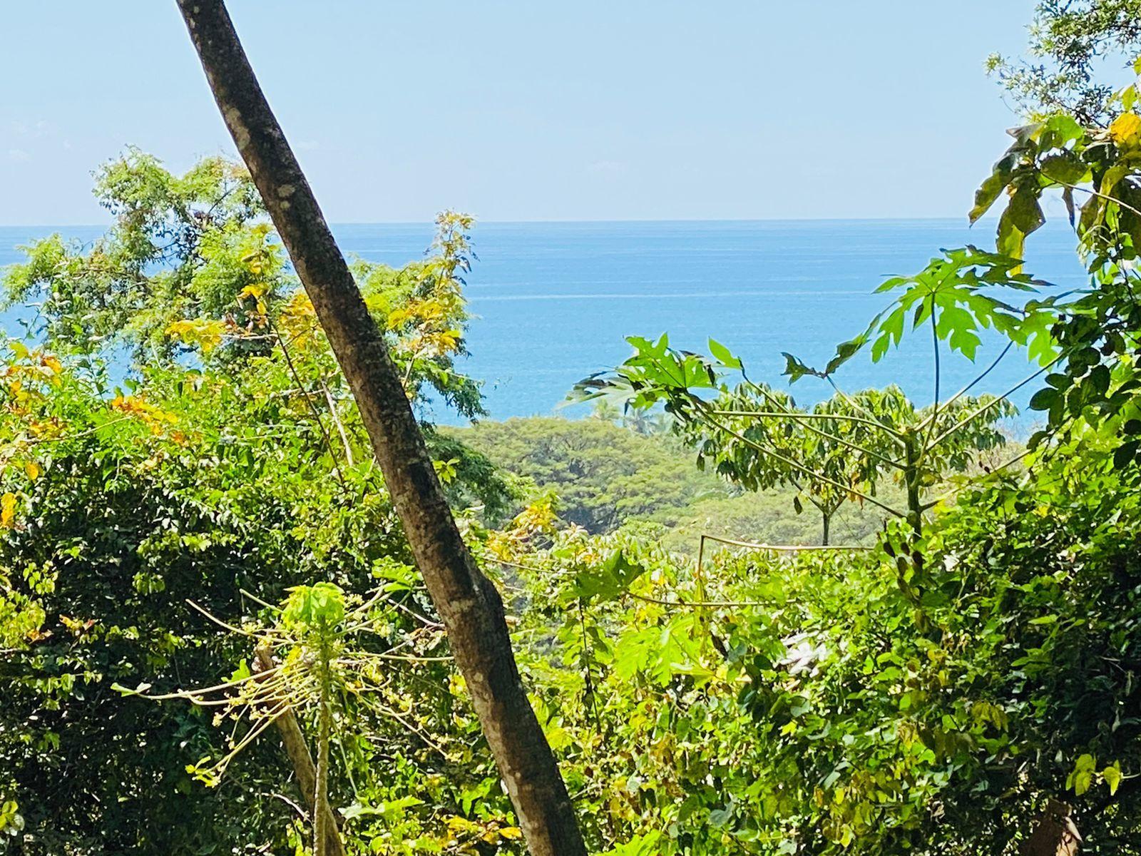 7,301 Sq M of Land for Sale, Playa Hermosa, Santa Teresa, Puntarenas, Costa Rica — photo 2