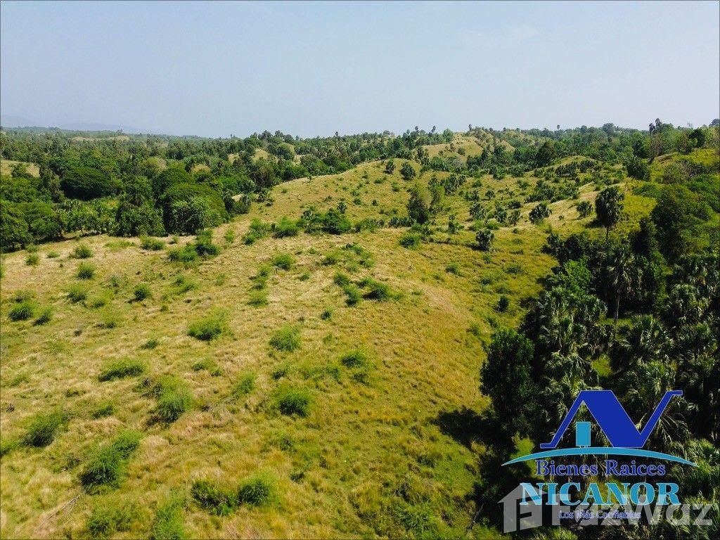 1,010 acre farm for sale in Imbert, Puerto Plata, Dominican Republic — photo 3