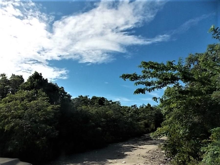 Ph, Sec 2 MOUNT CURTIS DR. — photo 5