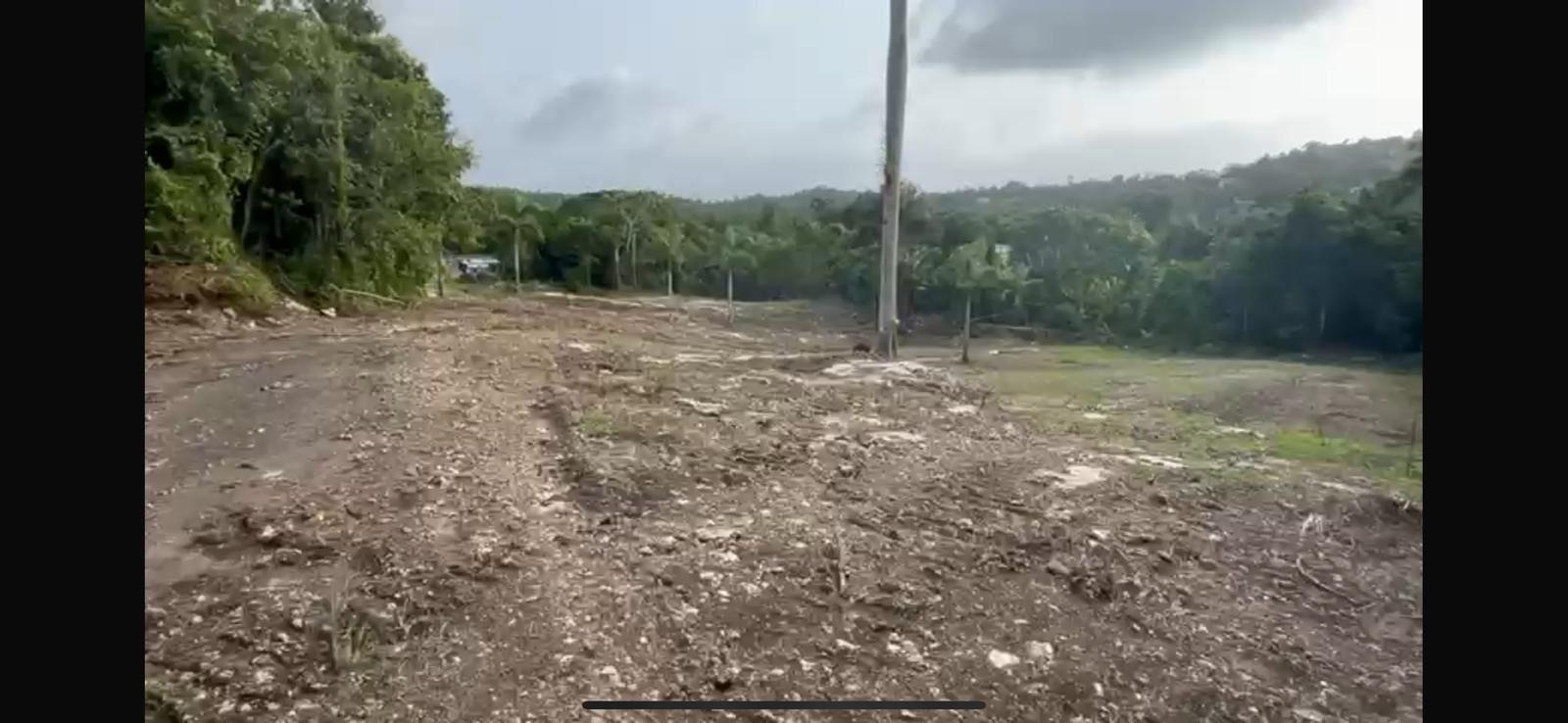 Land Near Rio Camuy Cave System — photo 3