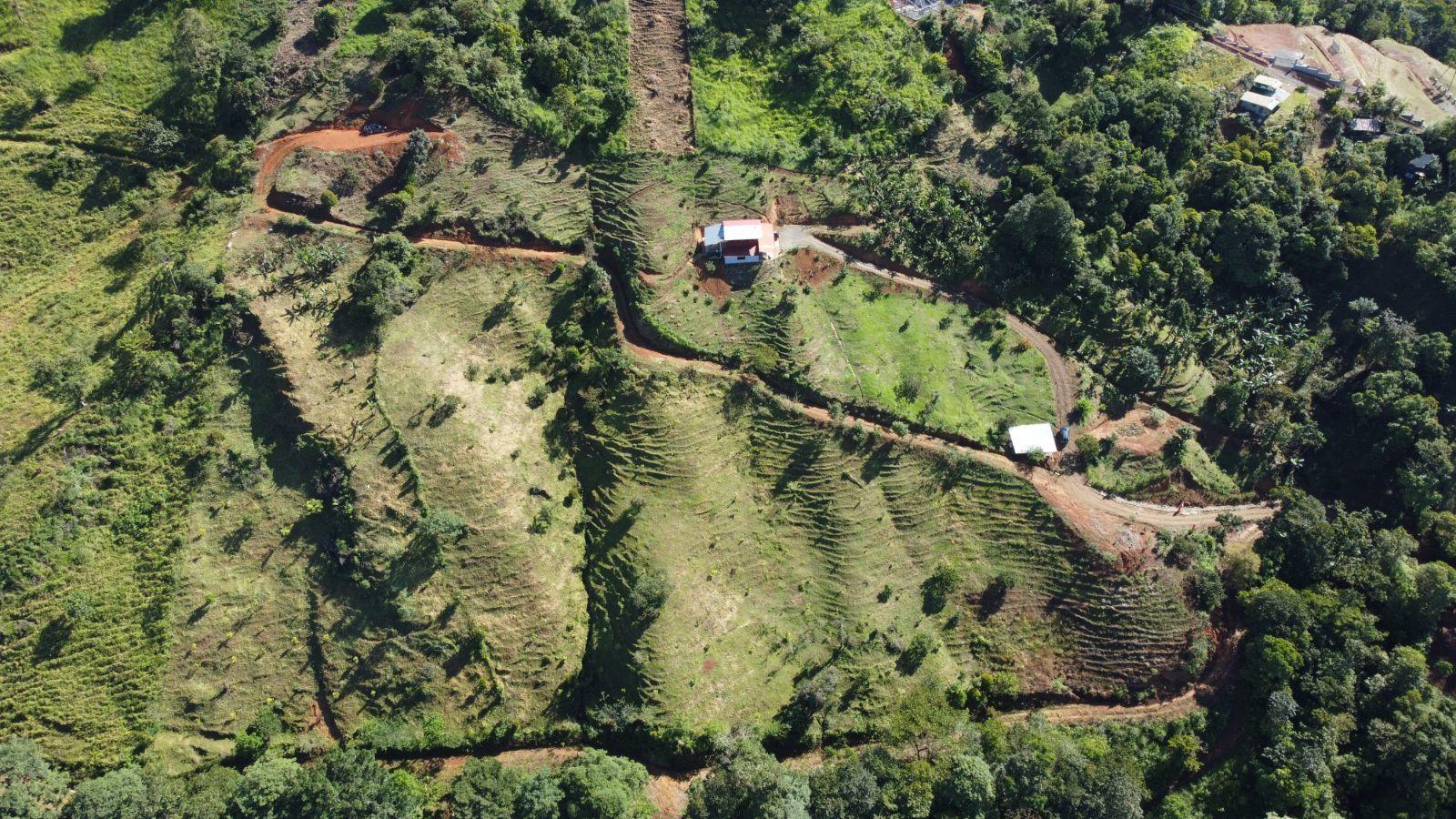 7.8 Acre Property for Sale, Alto San Juan, Tinamastes, Costa Rica — photo 3