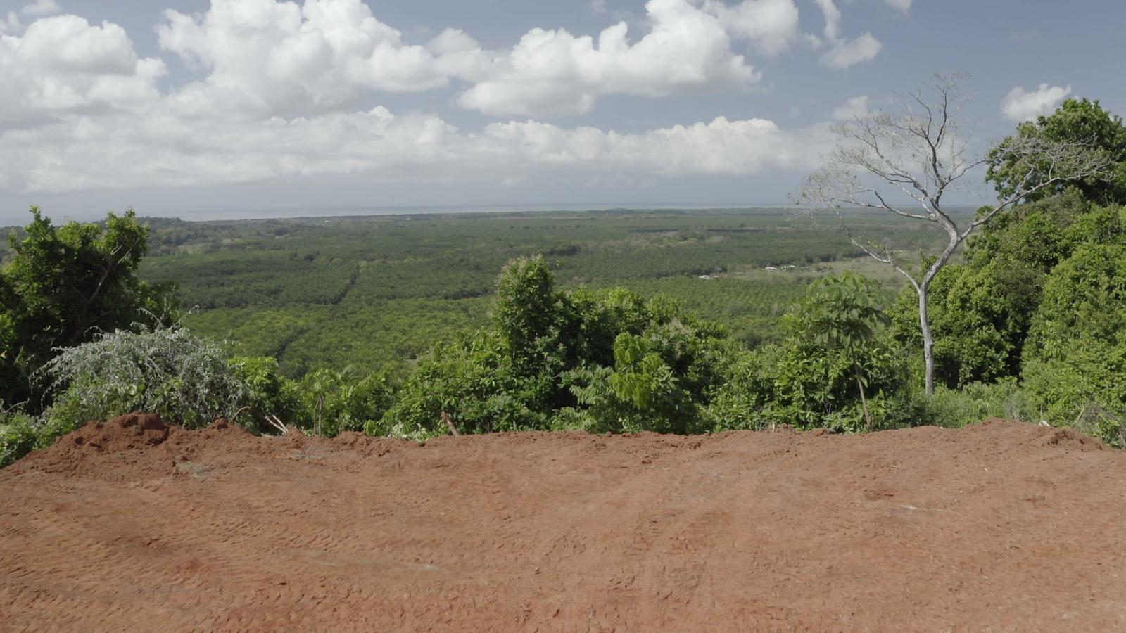 286 Acres of Land for Sale, Naranjito, Puntarenas, Costa Rica — photo 3
