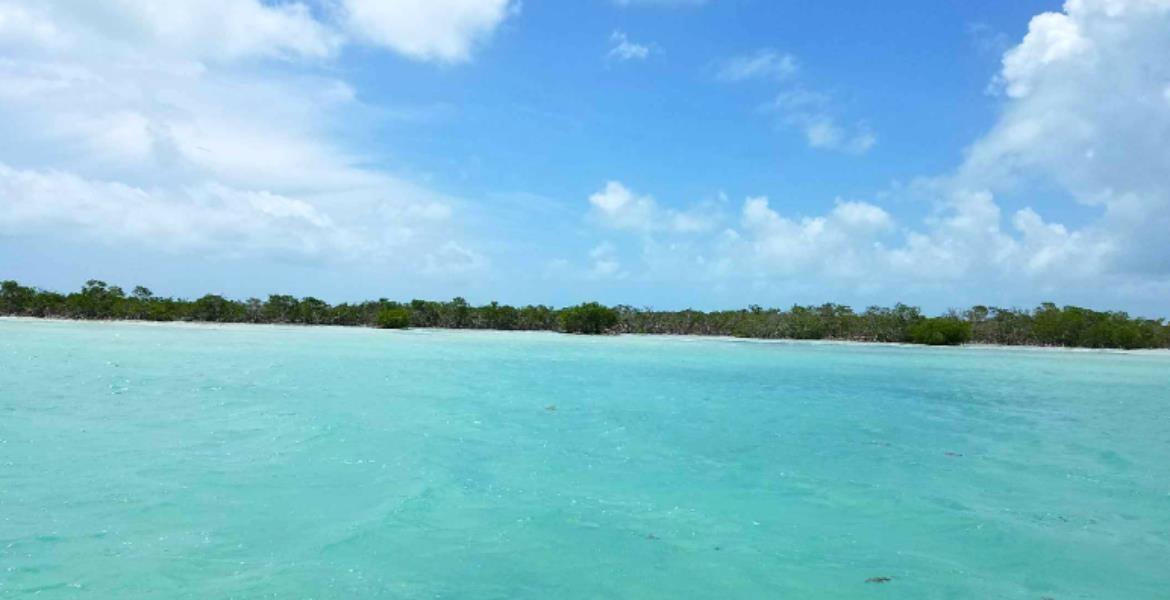 1.44 Acres Beach/Lagoon Frontage in Sarteneja, Belize — photo 2