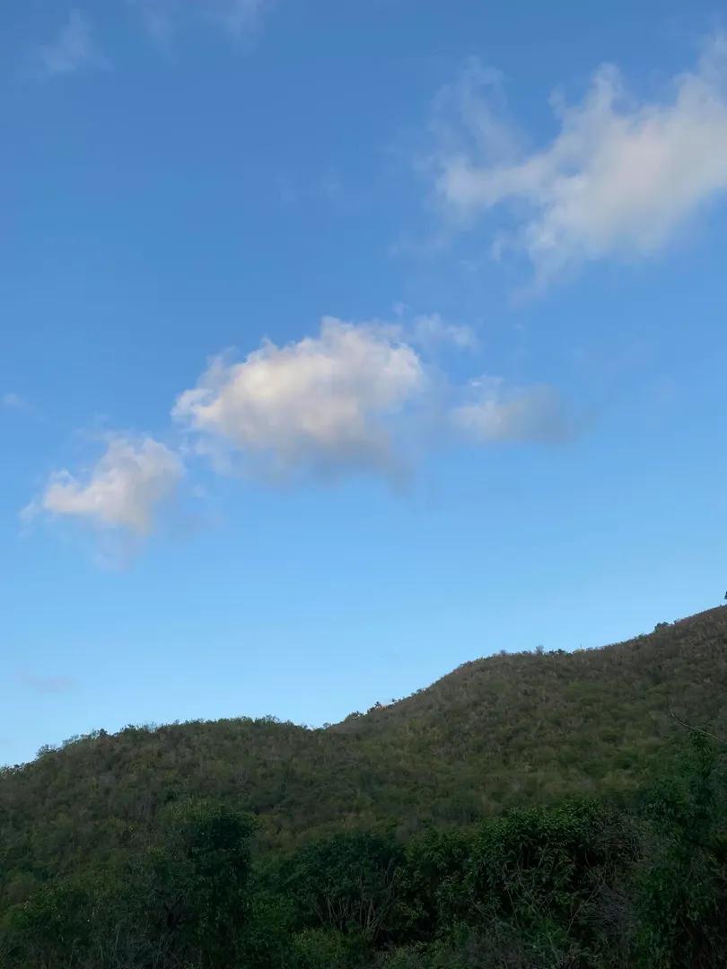0.5 Acre Lot in St. Croix — photo 5