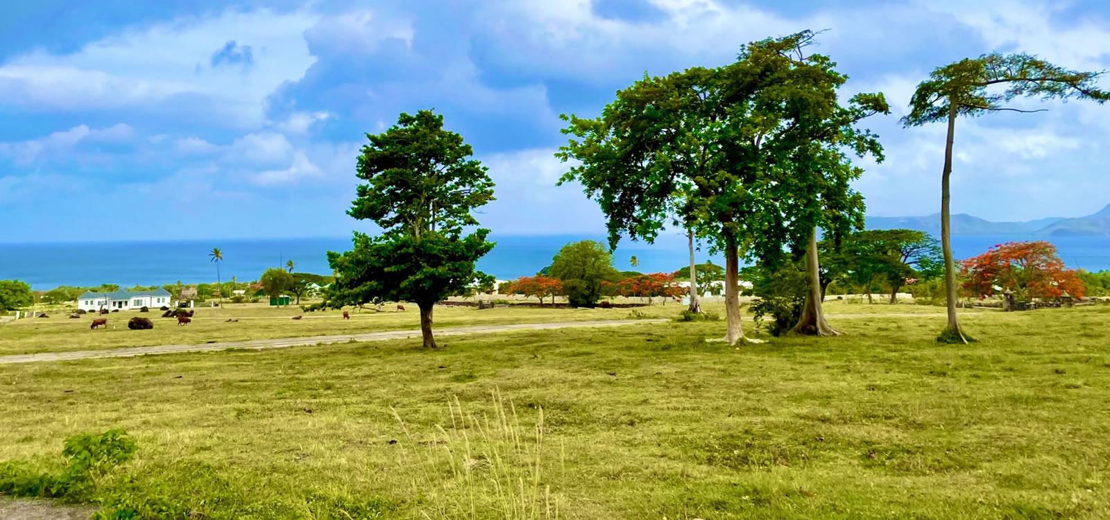 1 Acre Lots for Sale, Mill Side, Paradise Estates, Nevis — photo 4