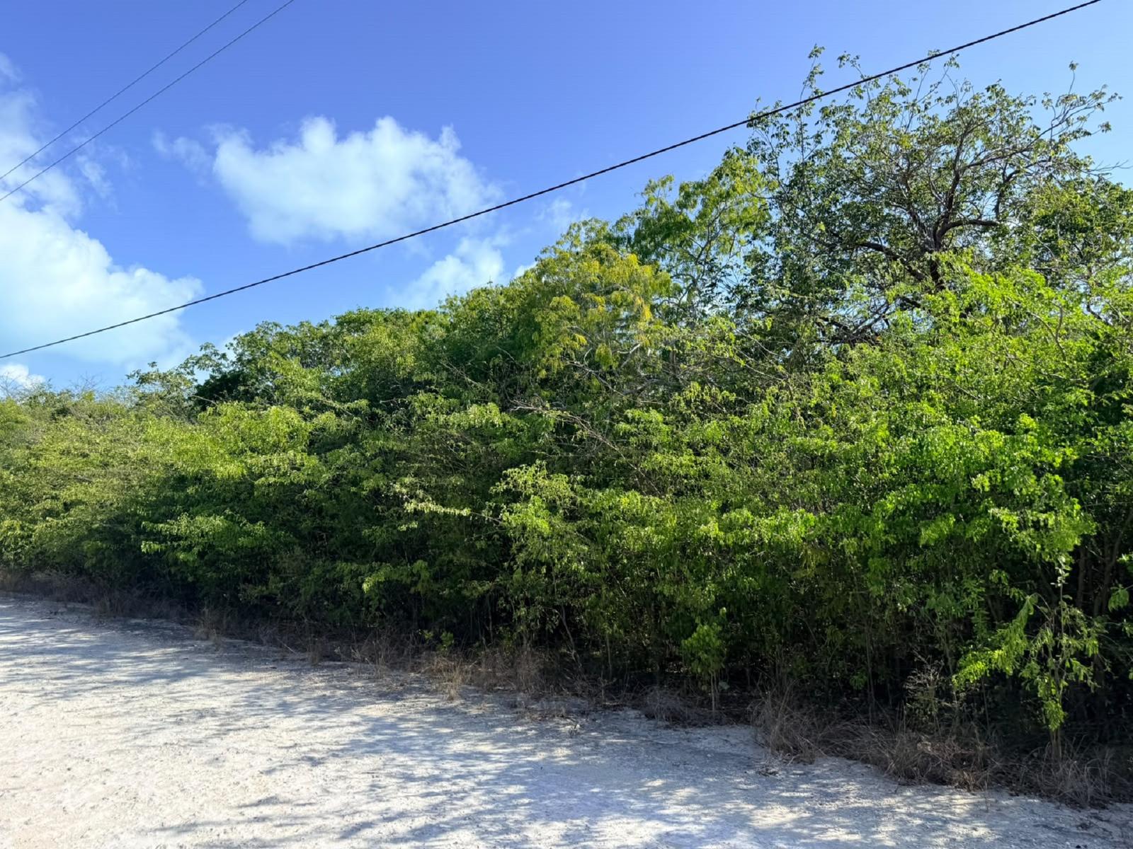 Vacant Land for sale - Lot 1194 And 1195, Bahama Island Beach — photo 3