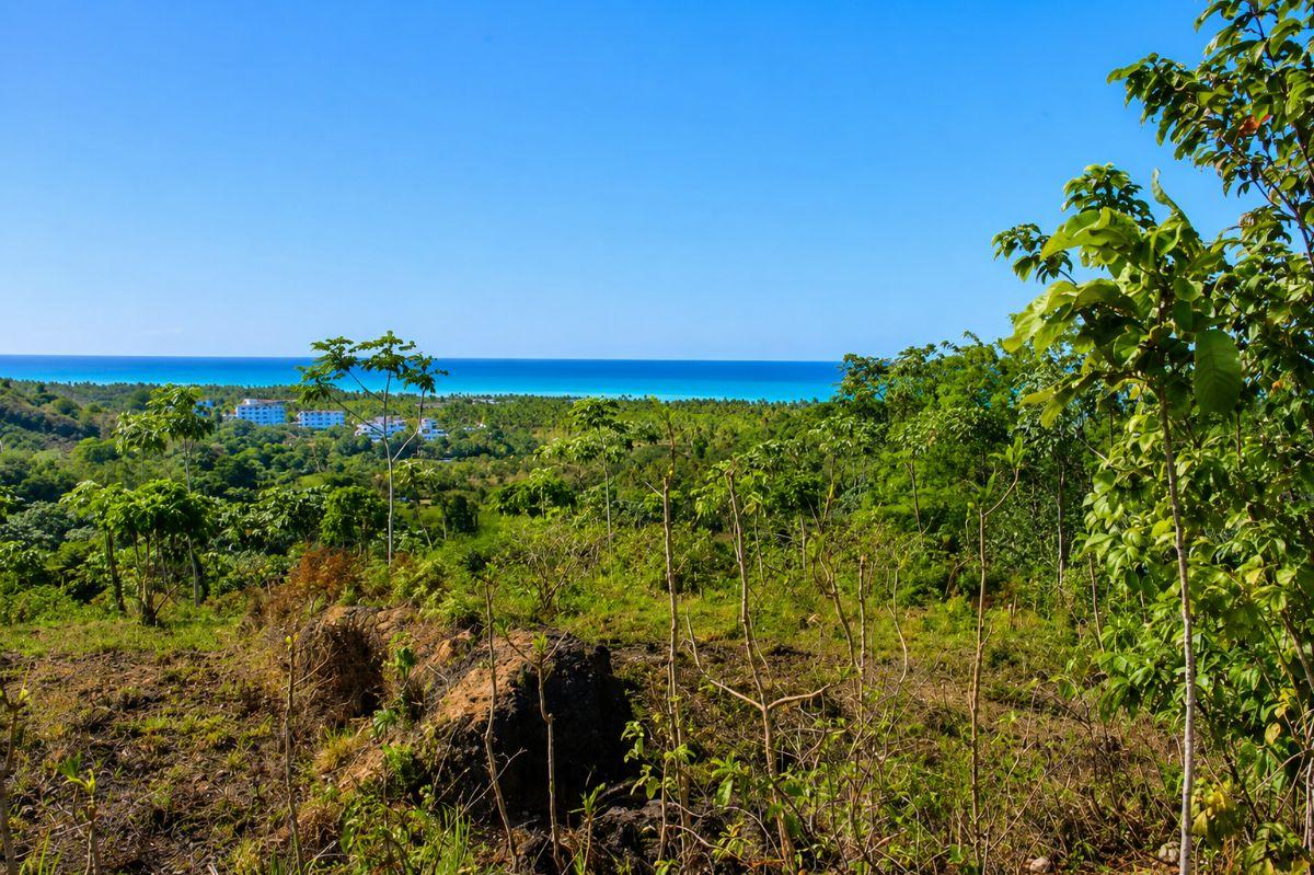 Exceptional 10,000 m² Hilltop Property with Panoramic Sea Views — photo 1