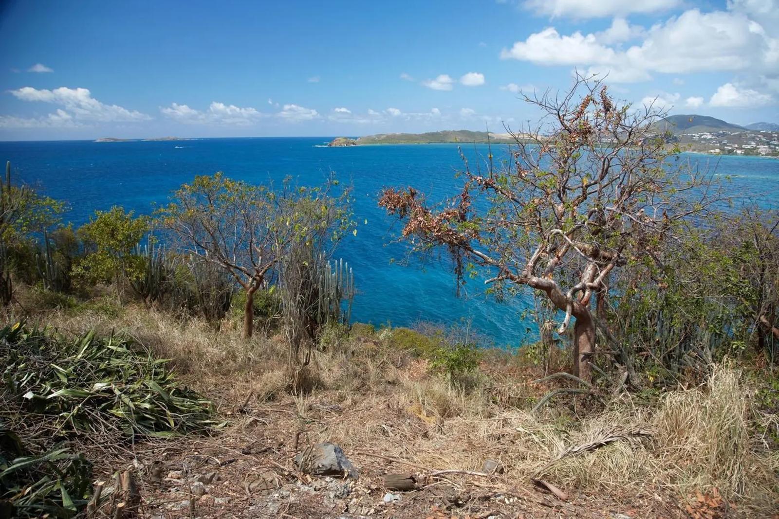0.85 Acre Homesite Lot in St. Thomas — photo 5
