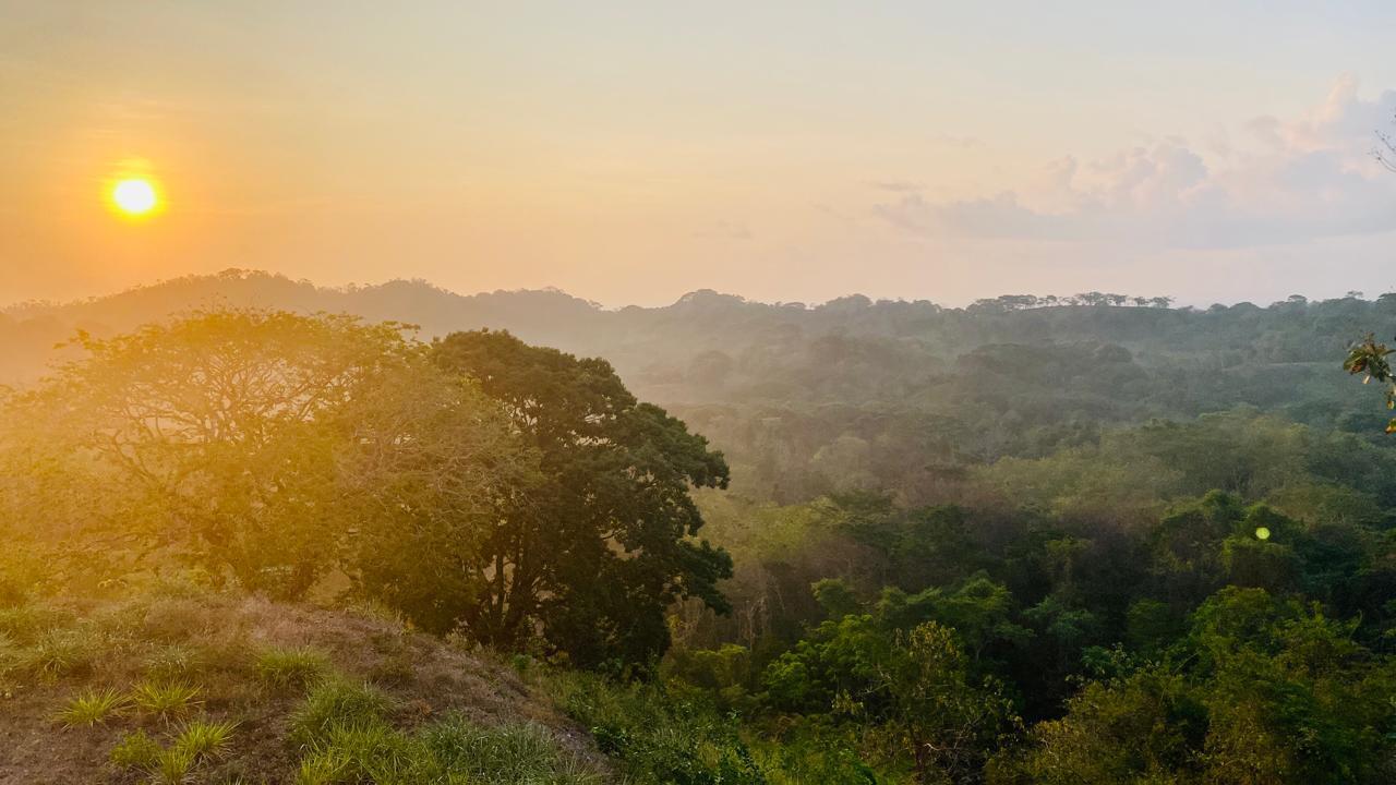 2.16 Acres Ocean and Forest View Land for Sale — photo 1