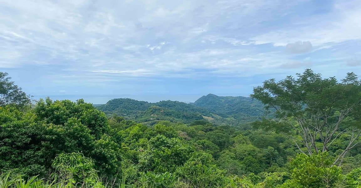 9 Acres of Ocean-View Land for Sale, San Buenas, Ojochal, Puntarenas, Costa Rica — photo 5