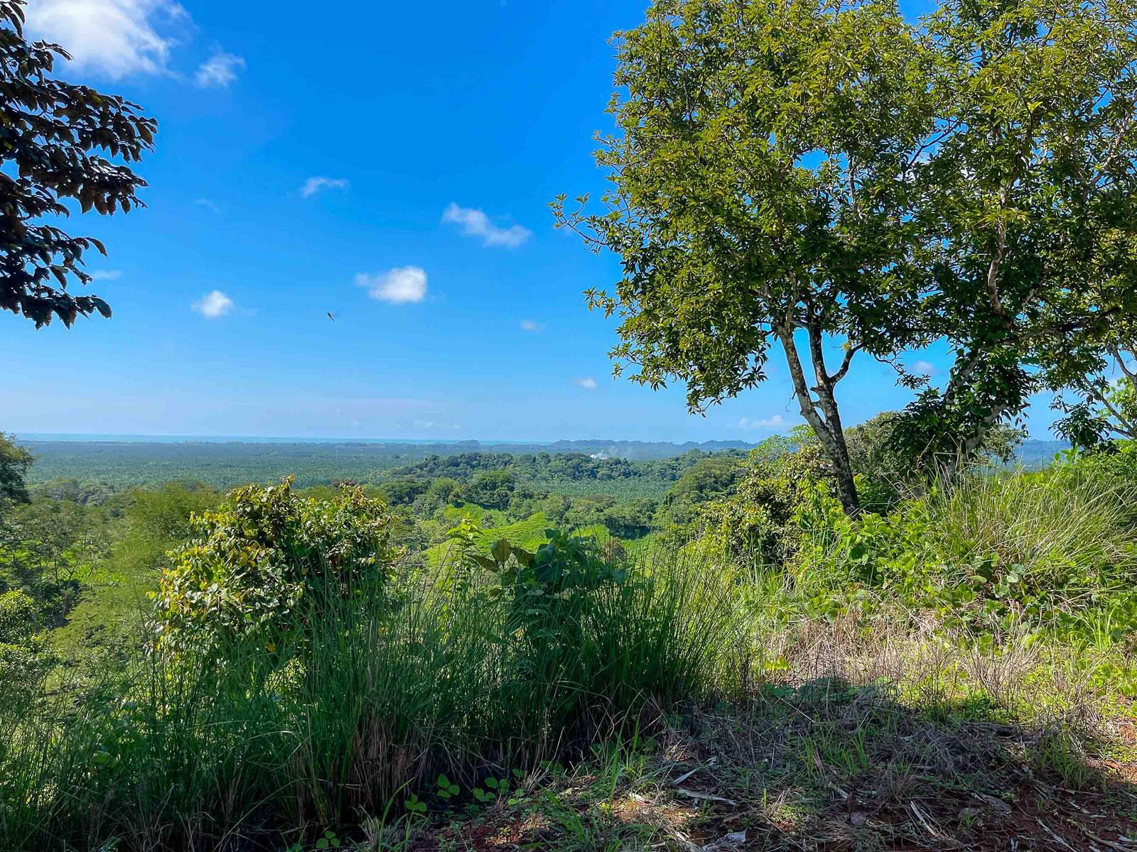 44,000 Sq M of Land for Sale, Londres / Quepos, Puntarenas, Costa Rica — photo 5