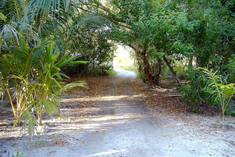 Private beach on private island — photo 5
