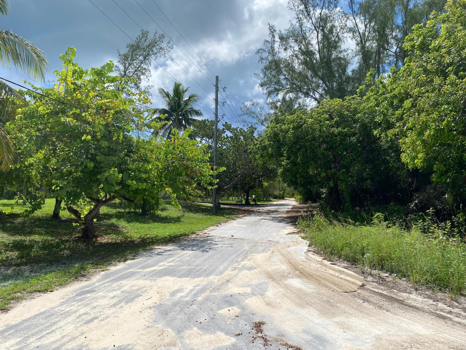 North Palmetto Point, Eleuthera, The Bahamas — photo 3