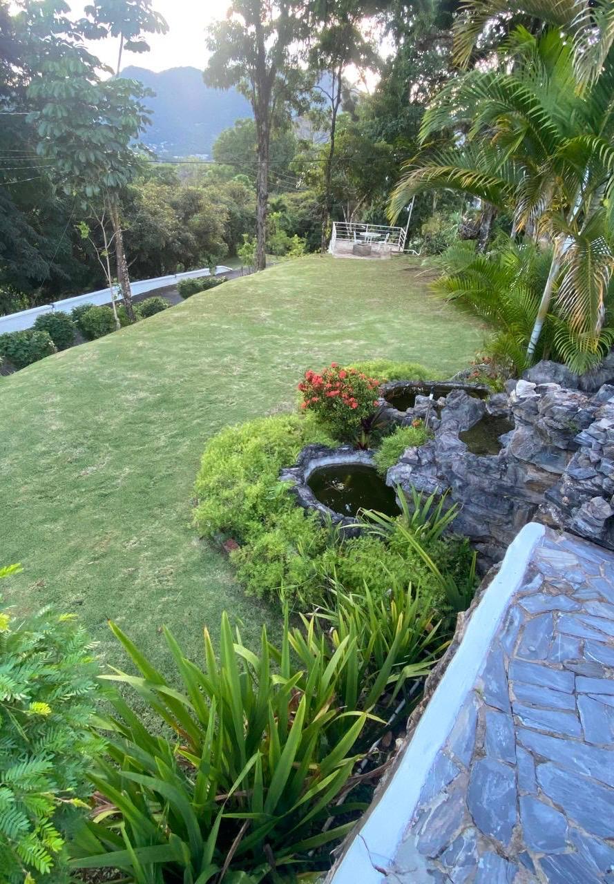 12-ACRE APPROVED RESIDENTIAL ESTATE & DEVELOPMENT OPPORTUNITY WITH 5-BEDROOM RESIDENCE – MARACAS VALLEY, TRINIDAD — photo 5