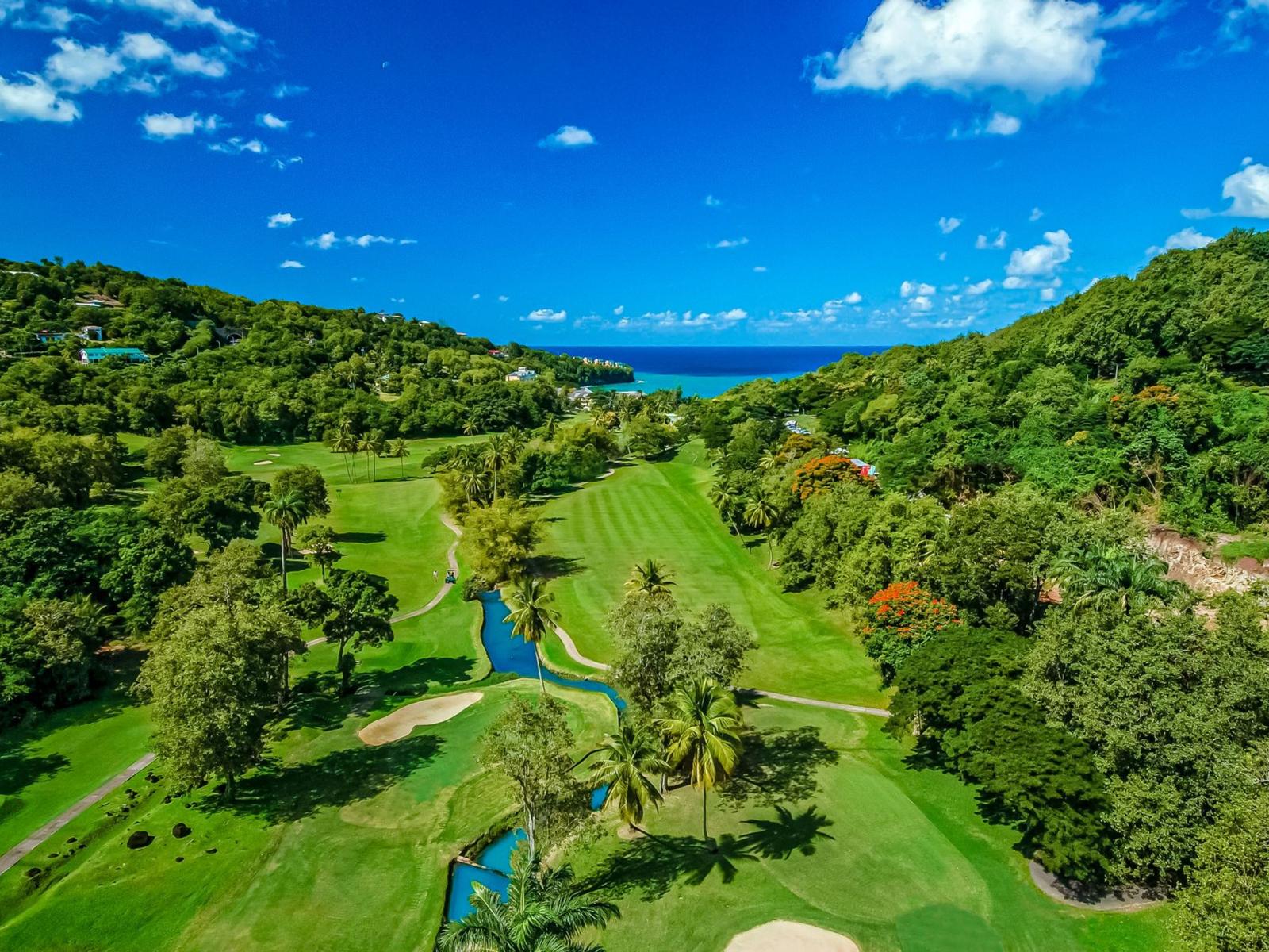 Spacious 1.5-Acre Lot Near Pigeon Island Beach — Cap Estate Gem — photo 4