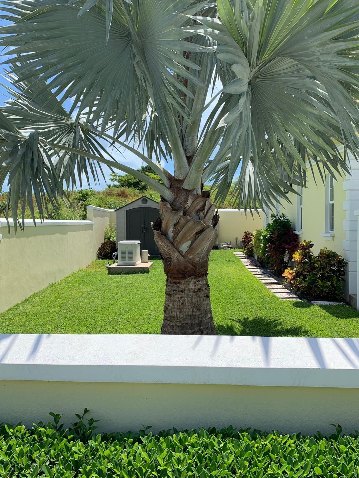 4 bedroom Residence for sale - 67 PALM CAY, Nassau / New Providence — photo 5