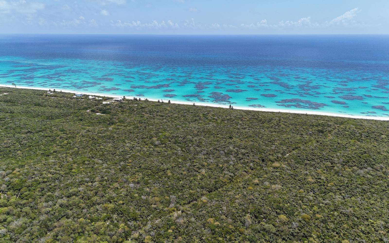 Prime Beachfront Acreage - MLS 66717 — photo 5
