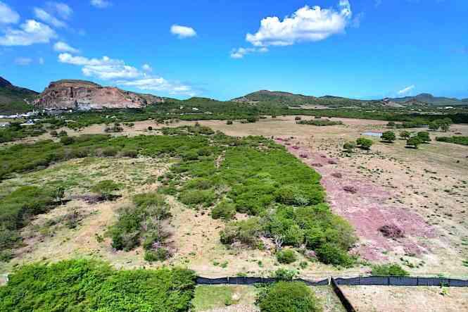 4.6 Acre Residential Development Land in St. Mary's — photo 4
