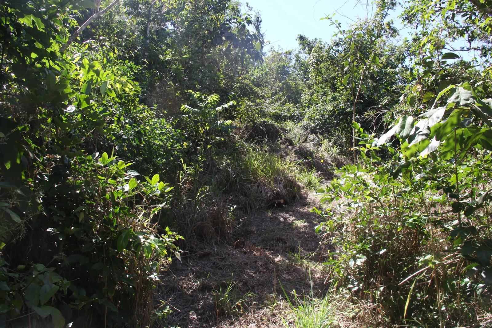 2.18 Acre Homesite Lot on Northside — photo 5