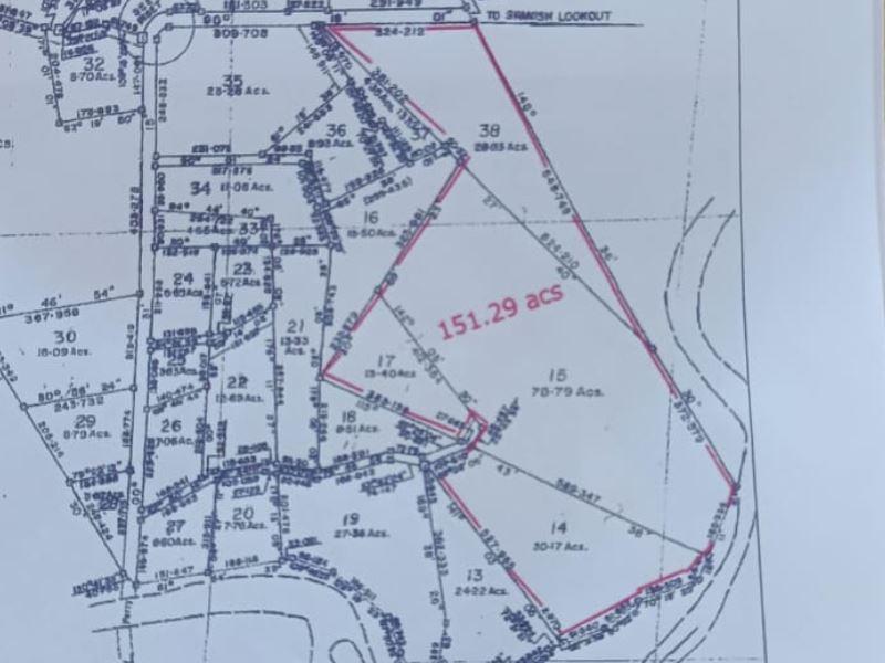 #4213 – 151 Acres of Land + 500' Belize River Frontage near Spanish Lookout, Cayo District, Belize — photo 2