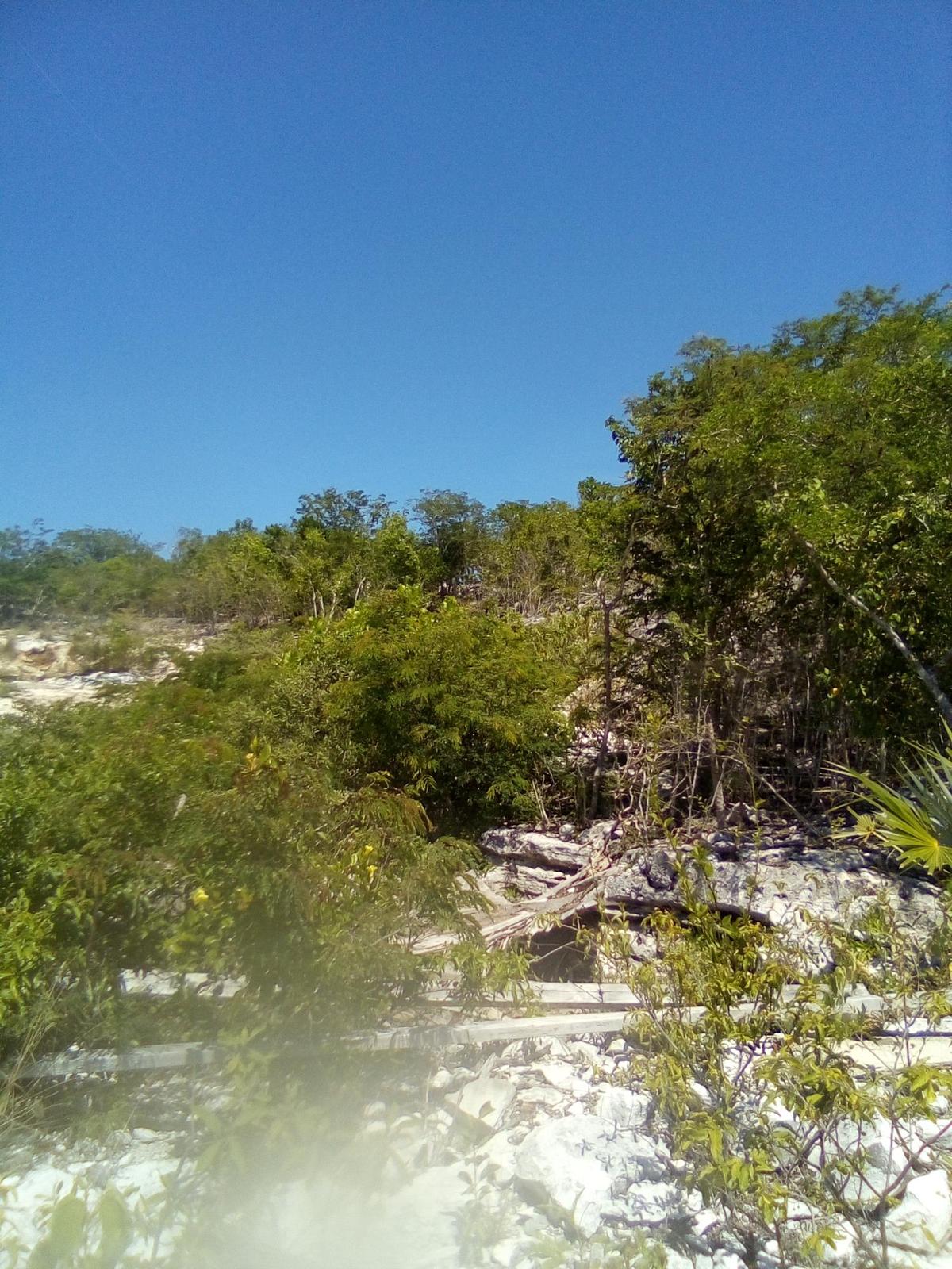 Vacant Land on Henry Road, Five Cays — photo 1