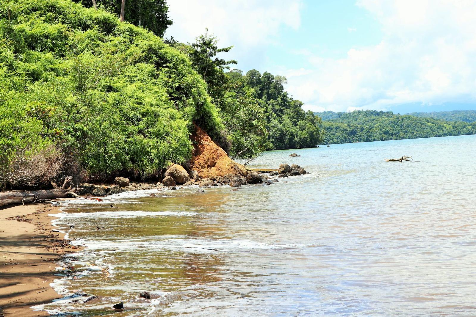 68 Hectares of Agricultural Land for Sale, Piedras Blancas National Park, Ojochal, Puntarenas — photo 3