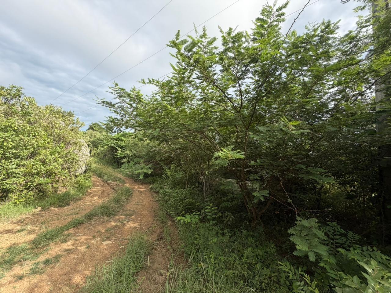 0.68 Acre Lot in George’s North Side, Tortola — photo 4
