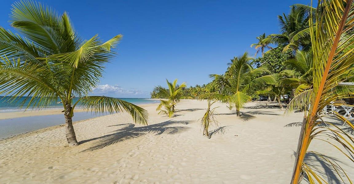 5 Bedroom Beachfront Villa for Sale, Playa Las Ballenas — photo 5