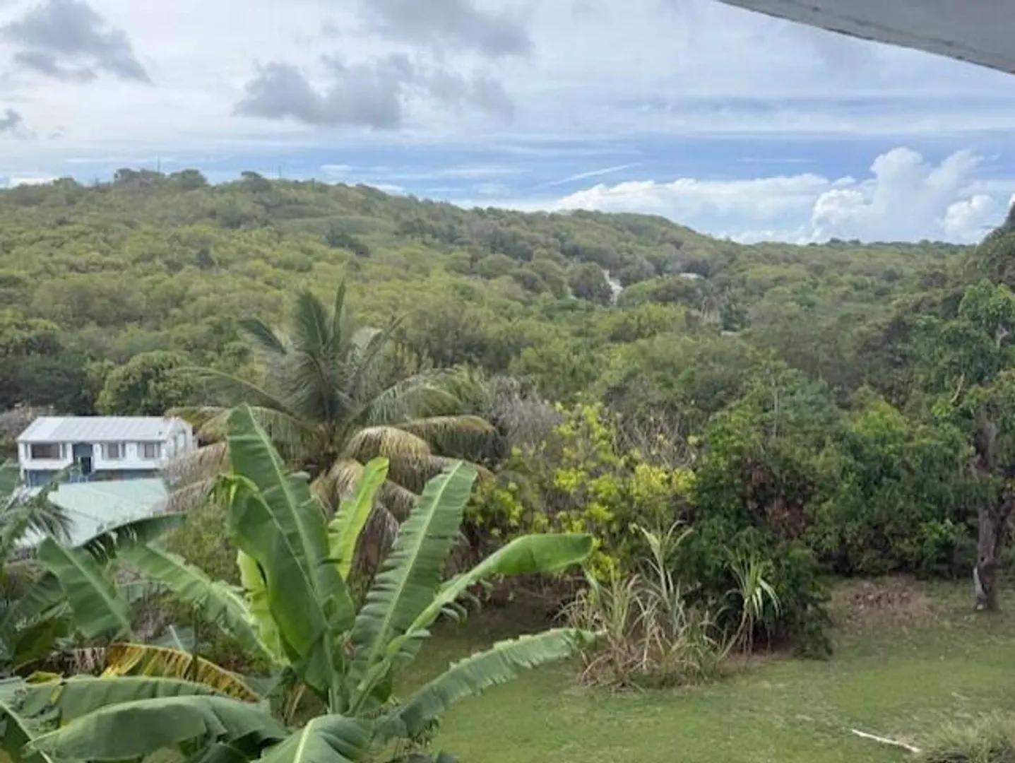 62 Sion Hill Qu - US Virgin Islands — photo 4
