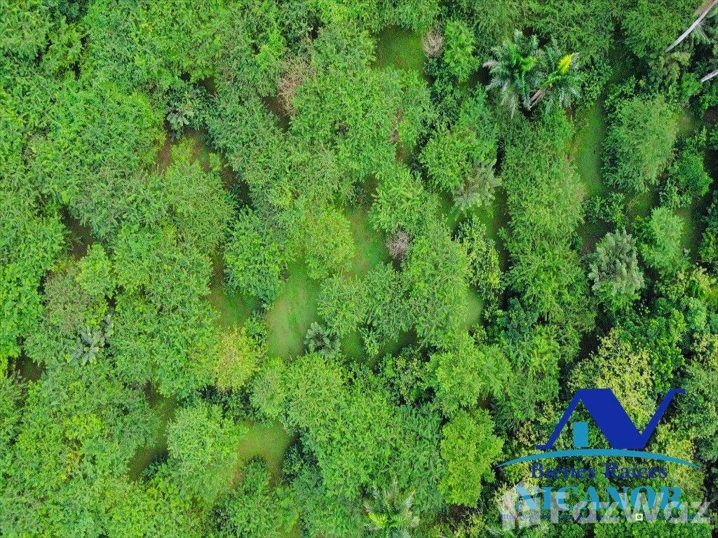 5,200 acre farm for sale in San Felipe De Puerto Plata — photo 5