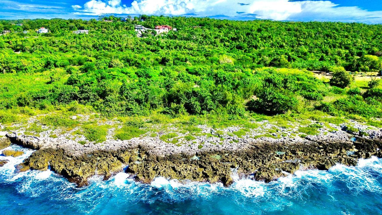 Orange Hill Westmoreland Negril — photo 4