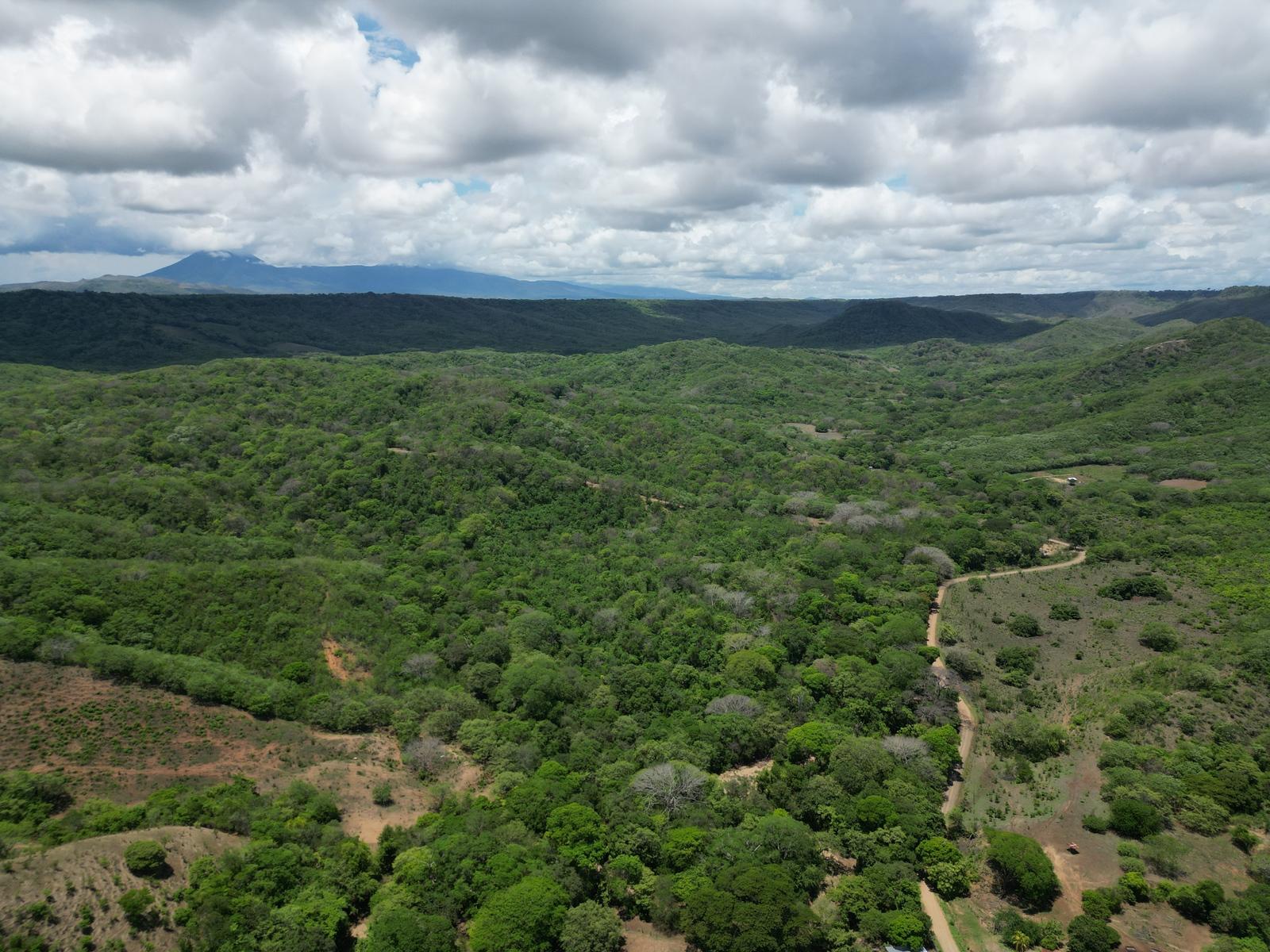 85 Hectares of Land for Sale, La Cruz, Papagayo, Guanacaste, Costa Rica — photo 4