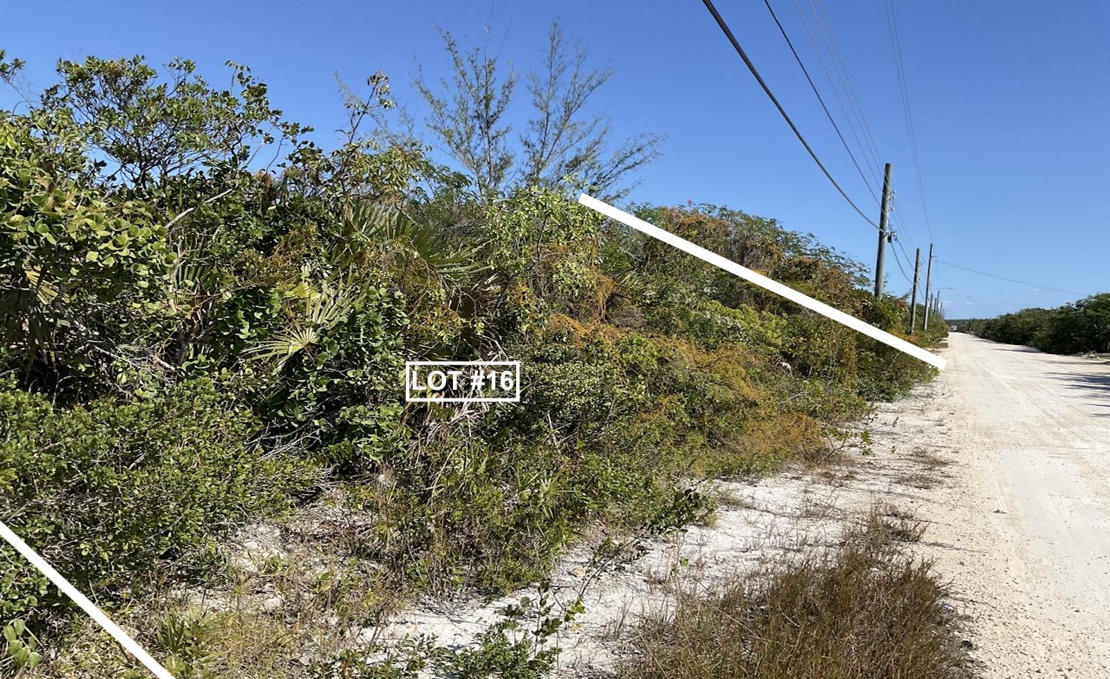 Lot 16 - Mls 65978, Wemyss Settlement, Bahamas — photo 1
