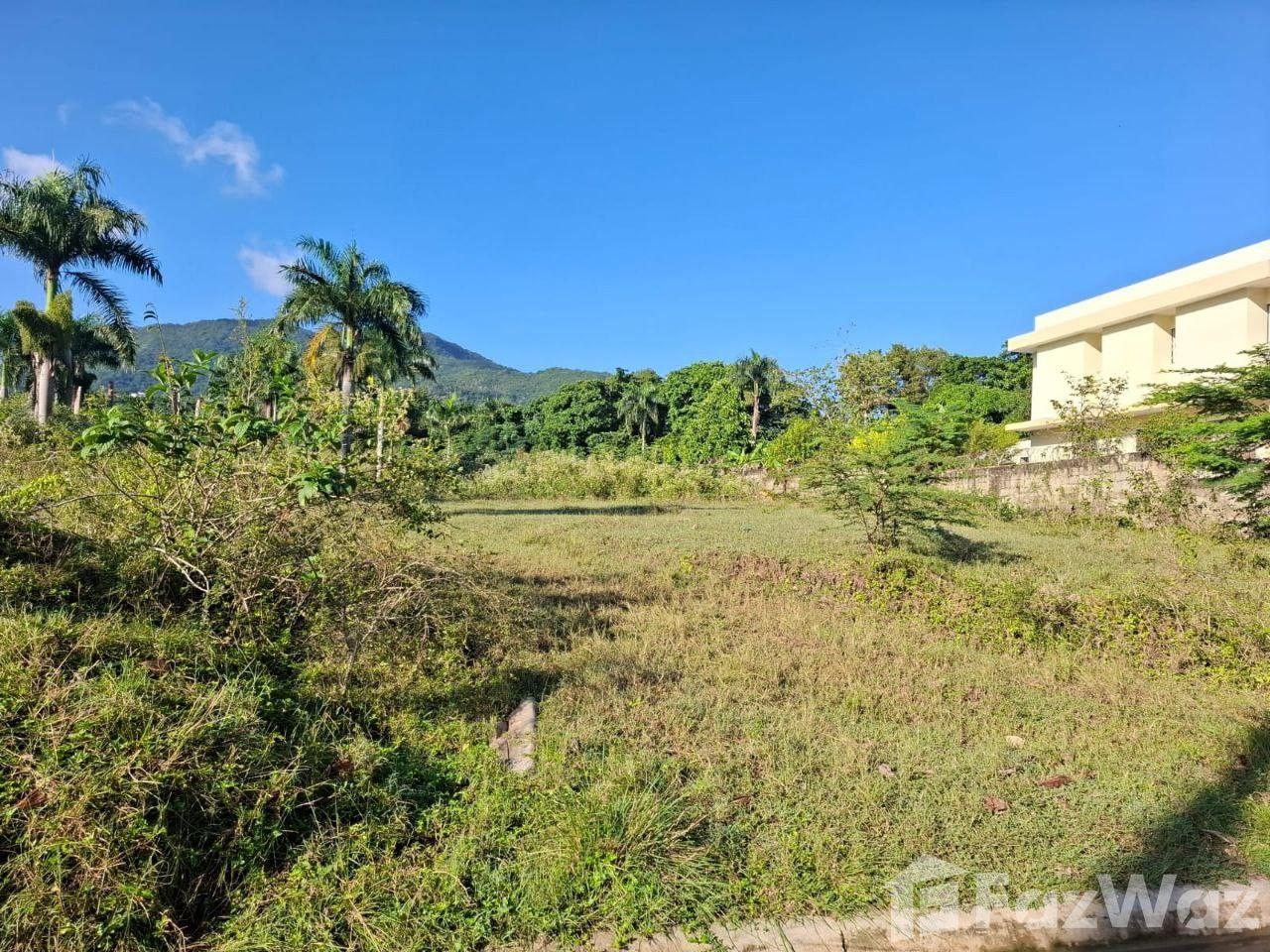 Residential Land Plot in Puerto Plata Residential, Dominican Republic — photo 4