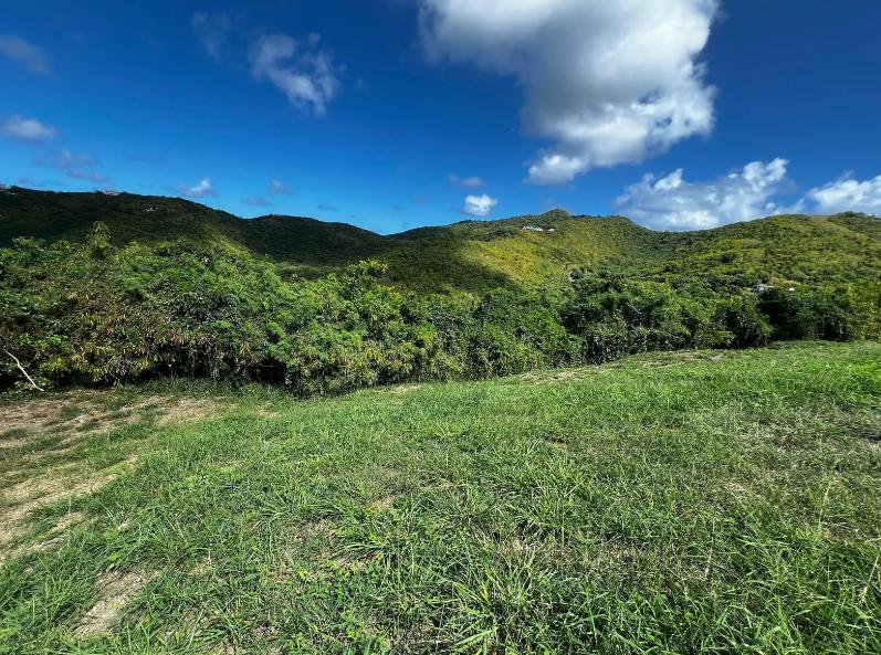 St. Croix Mid-East End 0.61 Acre Lot — photo 3
