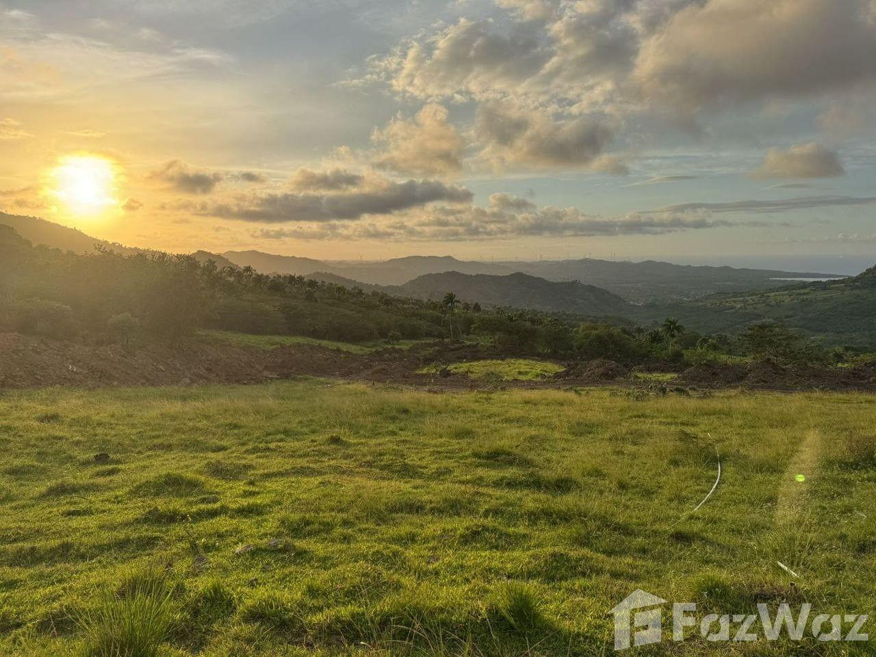 Ecological Paradise Land Plot in San Felipe De Puerto Plata — photo 1