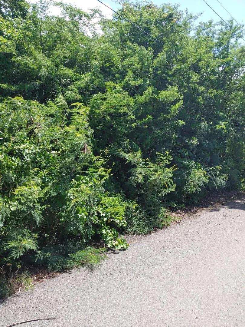 Homesite for sale in Hannah's Rest We, St. Croix — photo 1