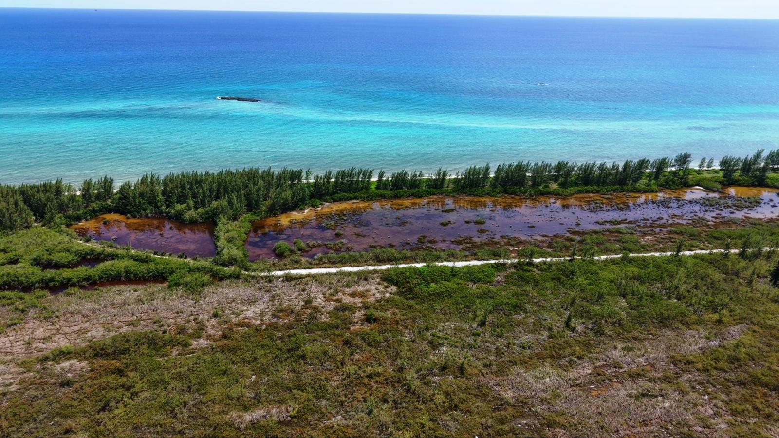4.5 Acres Of Beachfront Land for Sale in Holmes Rock, Bahamas — photo 2