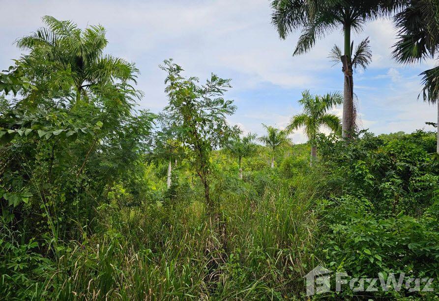 Oceanview Land for Sale in Sosua Panorama Village — photo 5